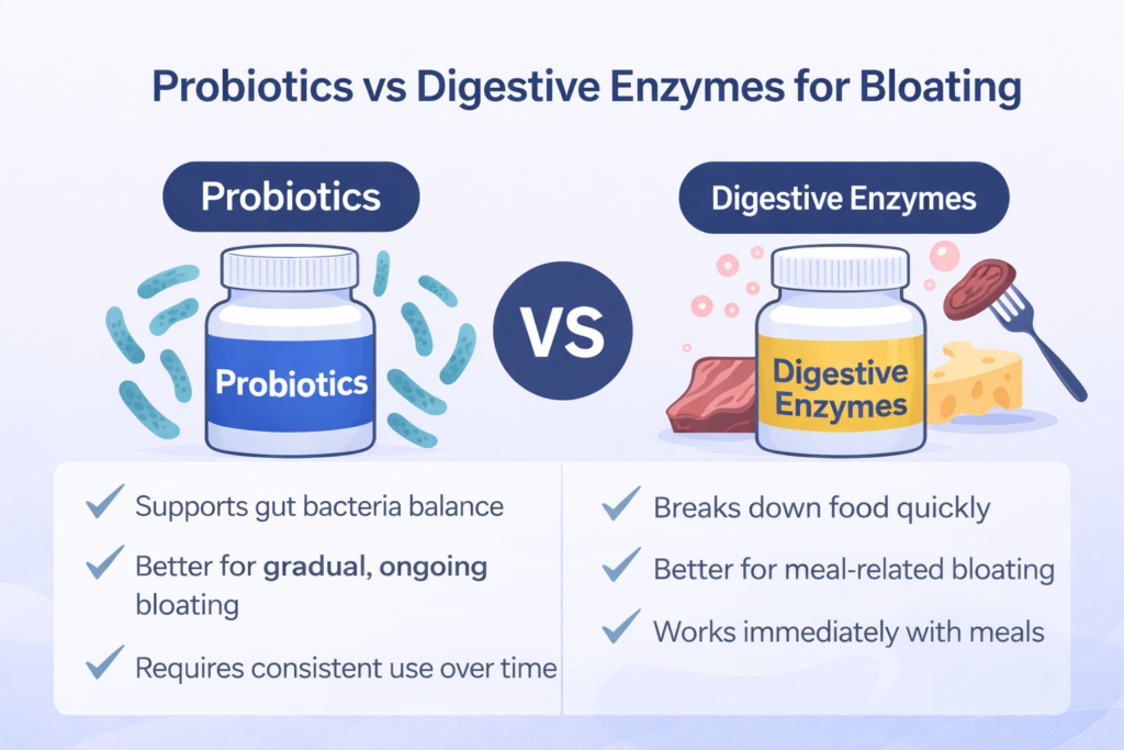 Comparison infographic showing probiotics vs digestive enzymes for bloating, explaining gut bacteria balance versus food breakdown
